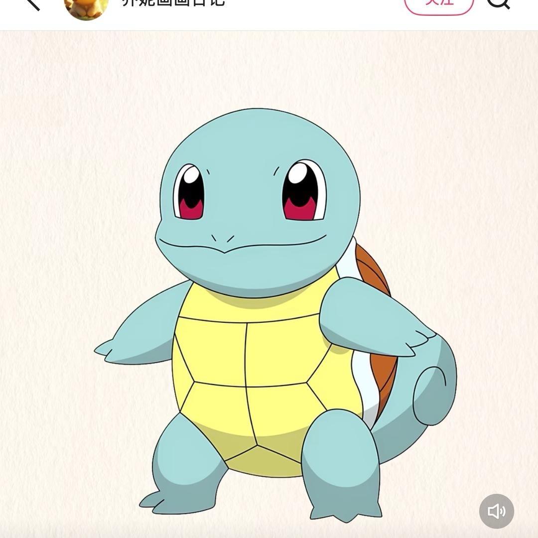 龟仔宠物优品