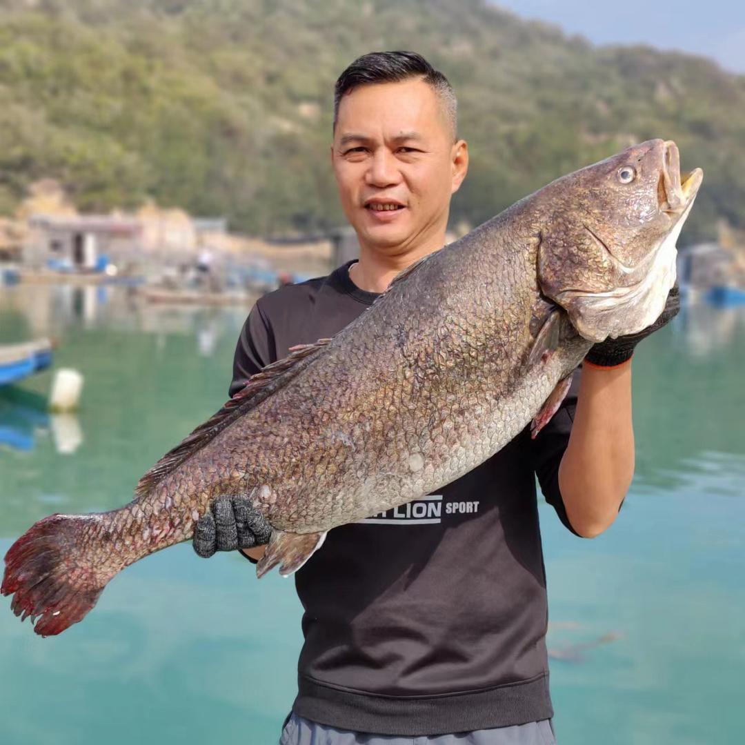 南澳岛辉哥海味