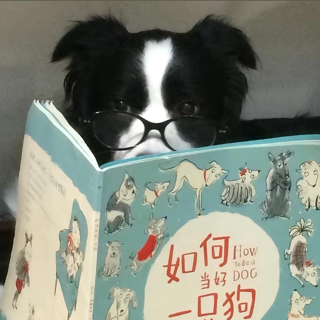 潦草小狗（想见表哥版