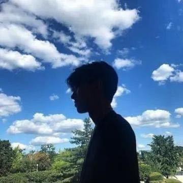 陈暖树