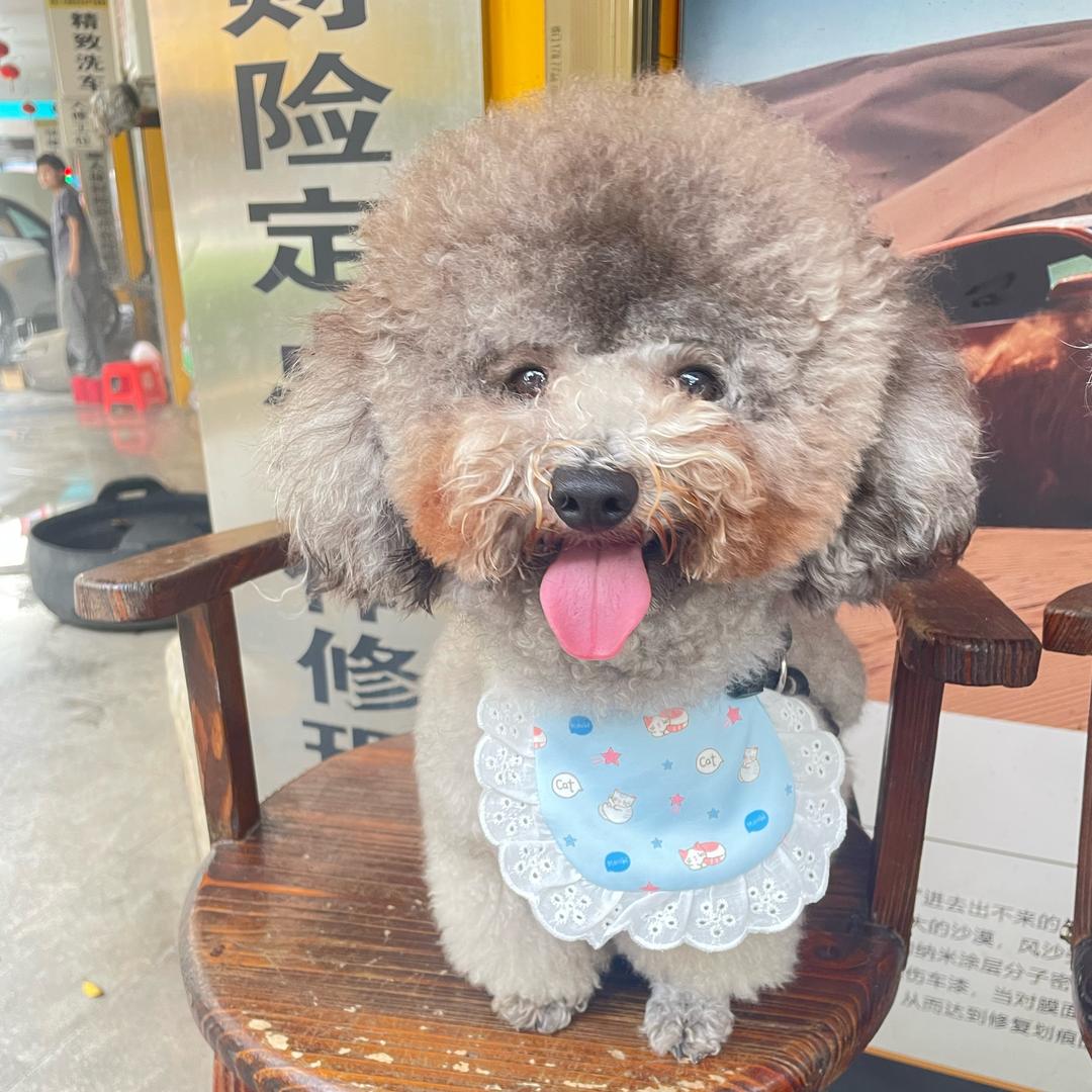 饱藏