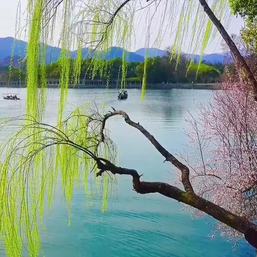 月清水蓝