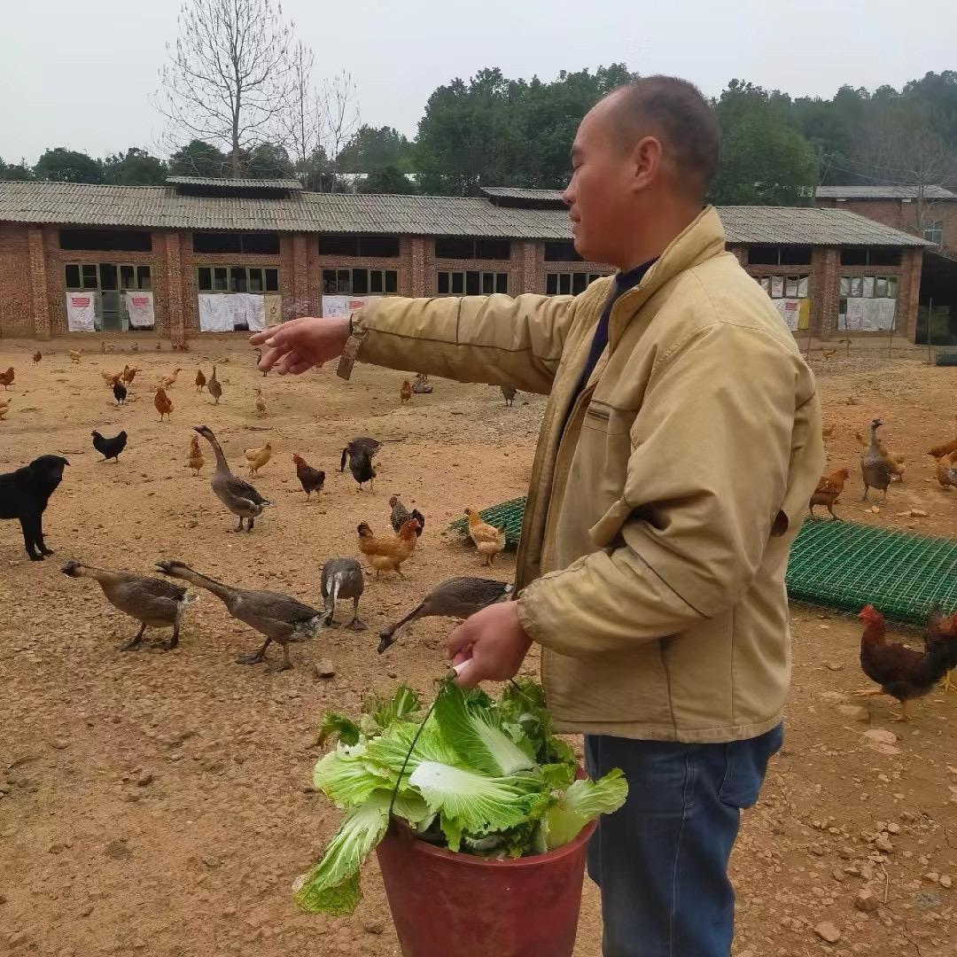 阿超在乡下