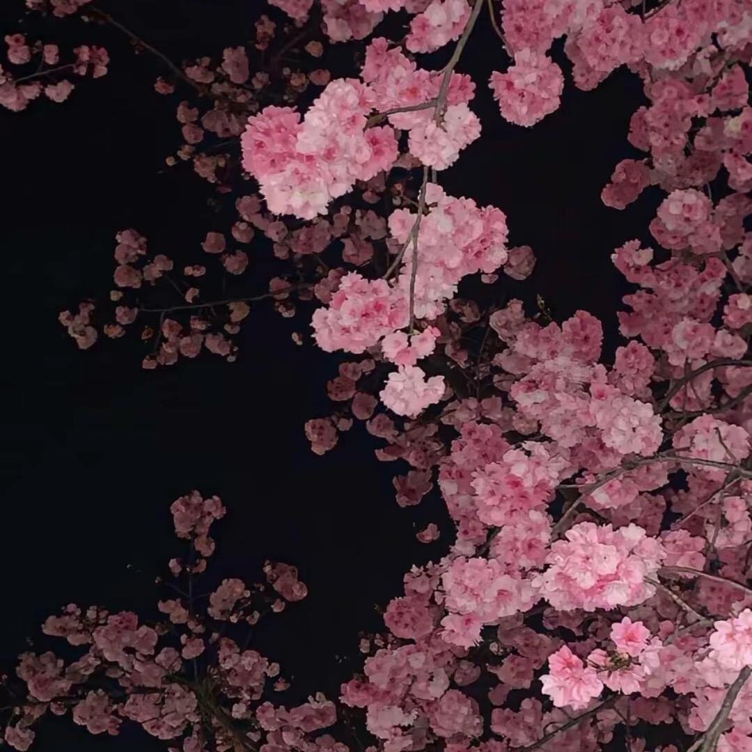没
