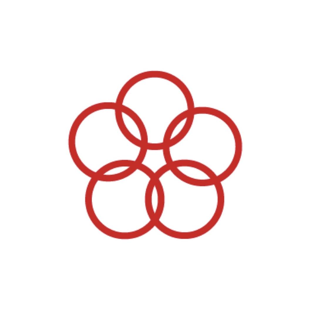 五环足弓鞋