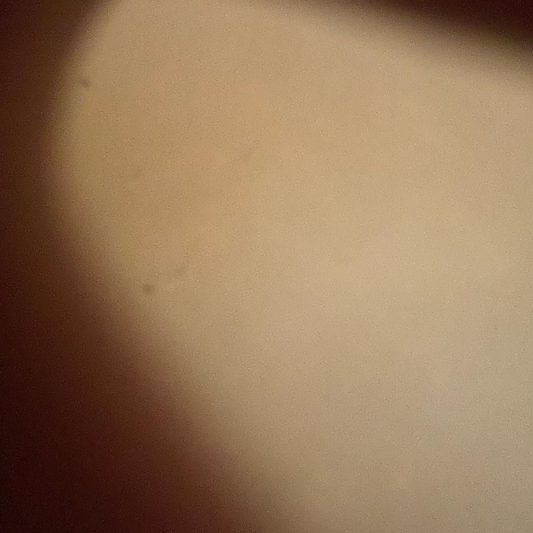 用户13389858289