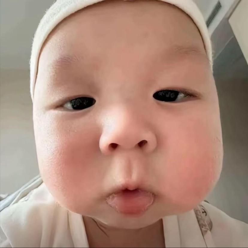 鱿鱼也算鱼