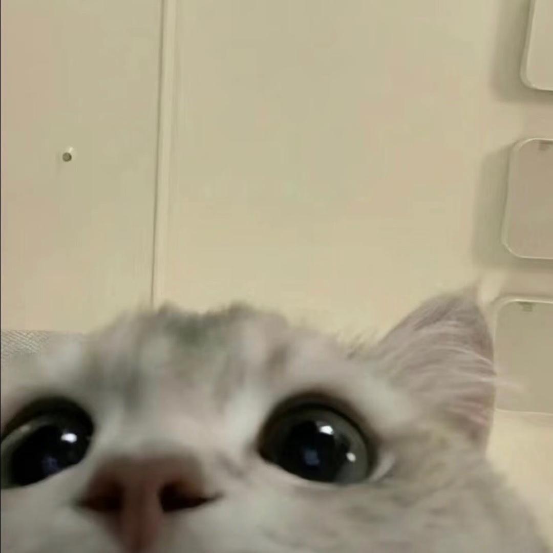 东方员外
