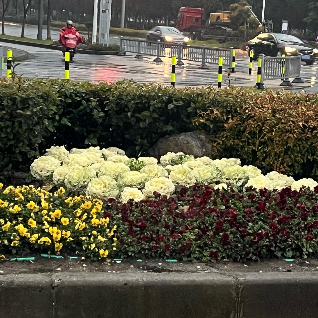 微笑和我说再见