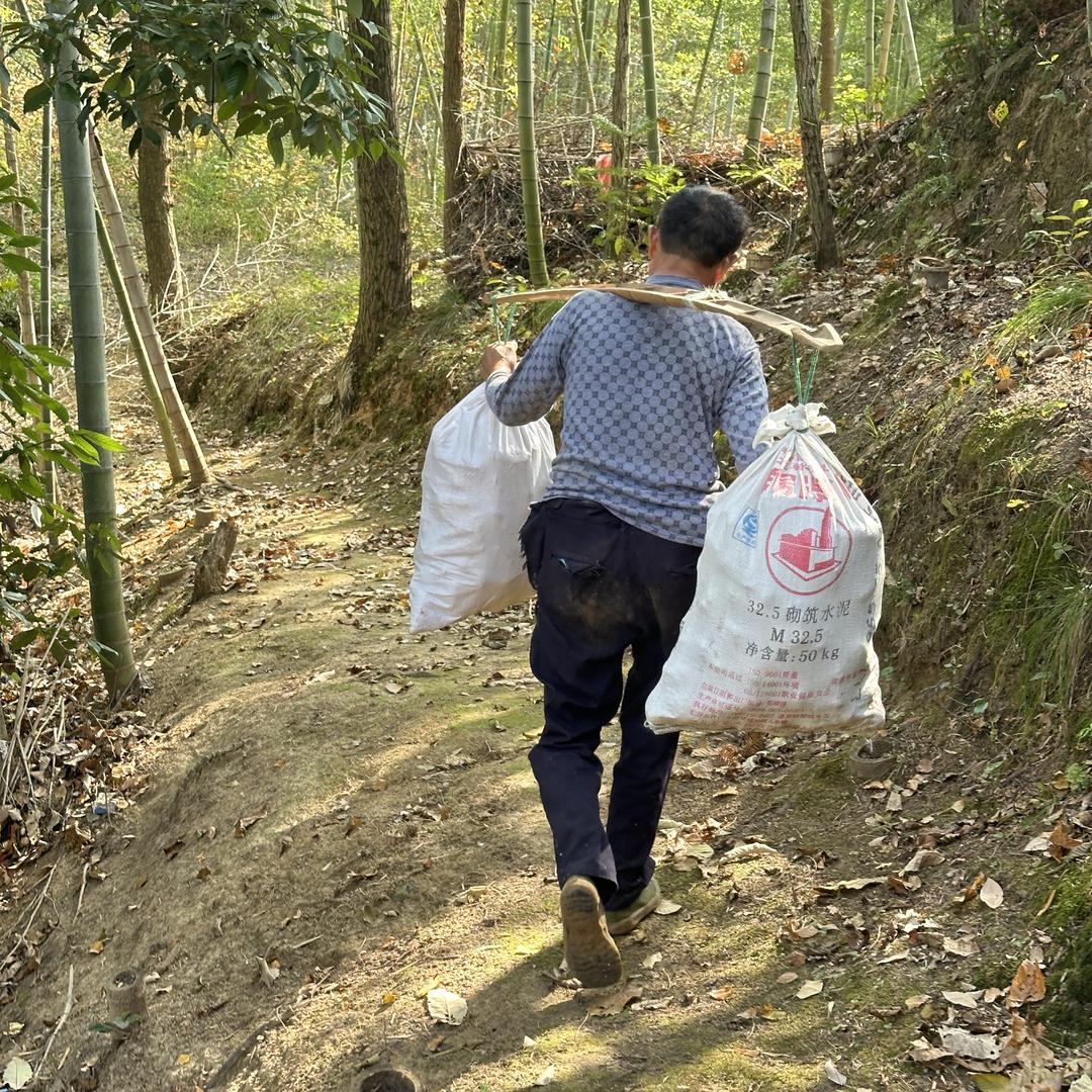 大别山乡野味道