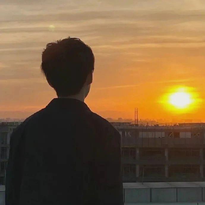 李的太阳