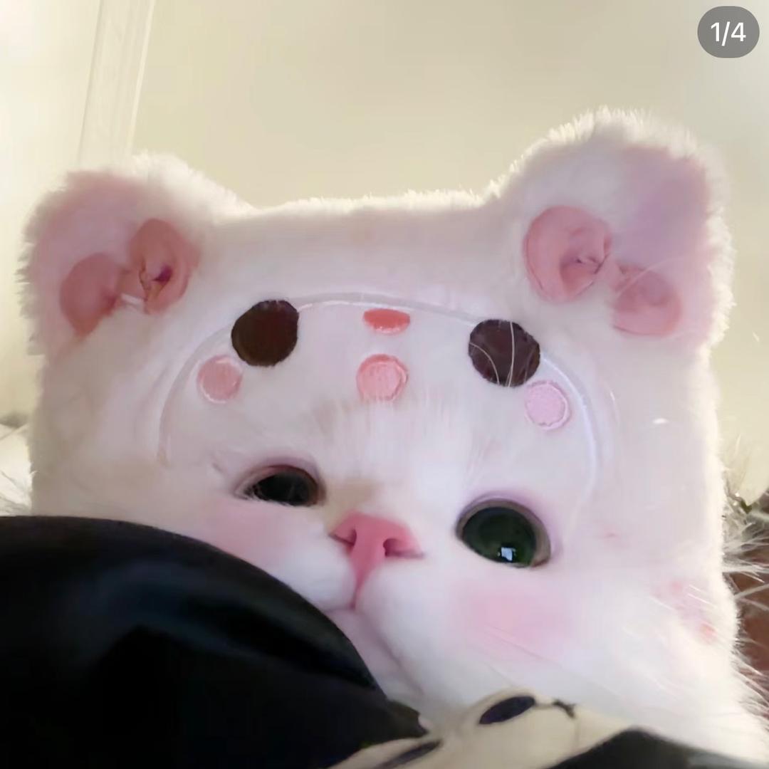 发菜