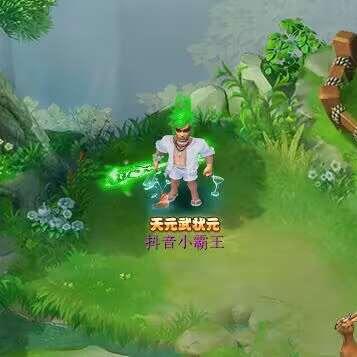 梦幻小霸王