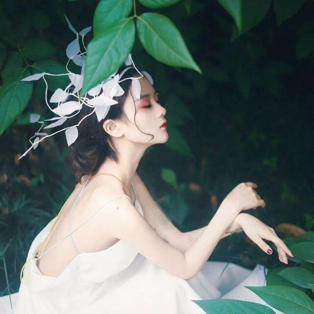 夕阳下的猫