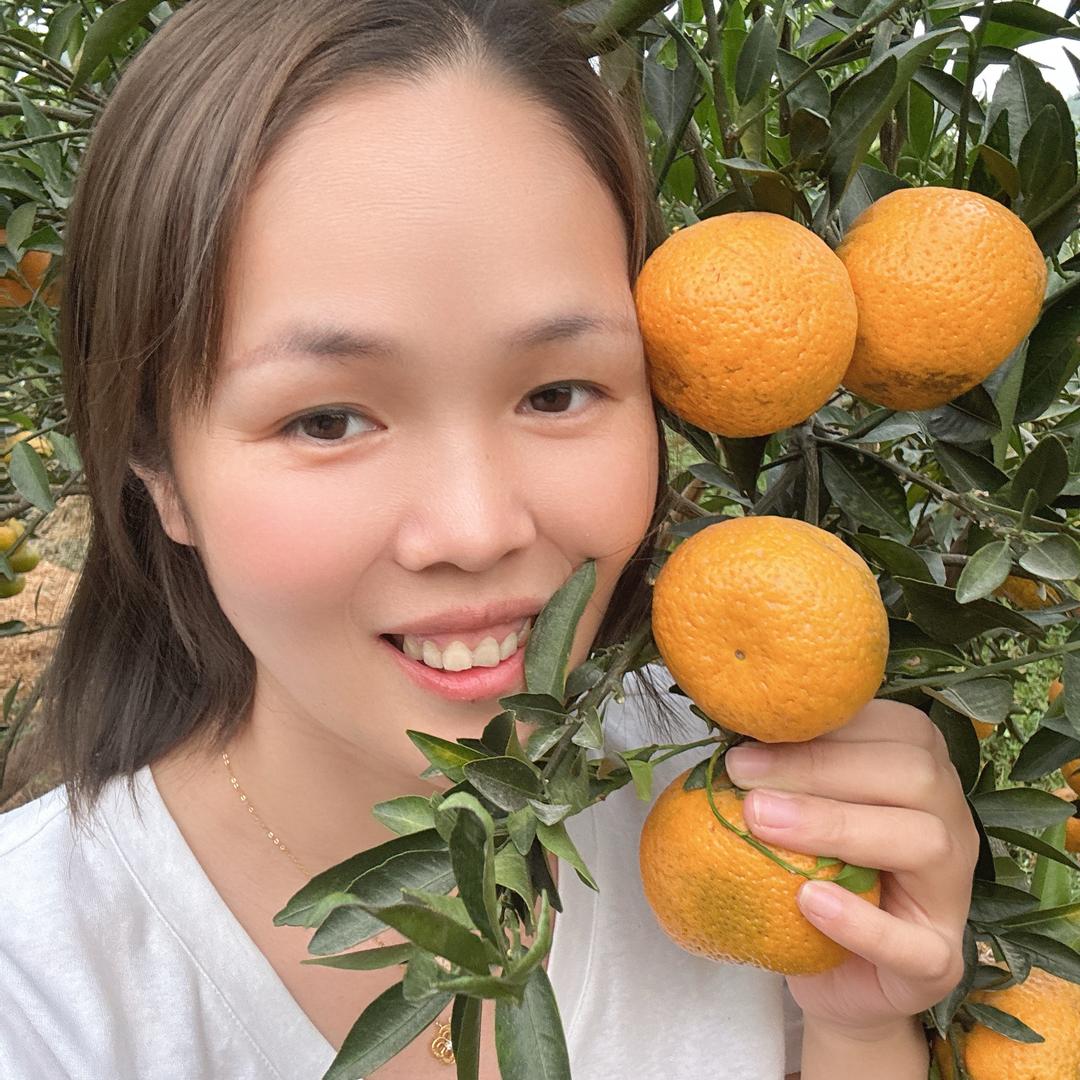 新会陈皮叶子🍃