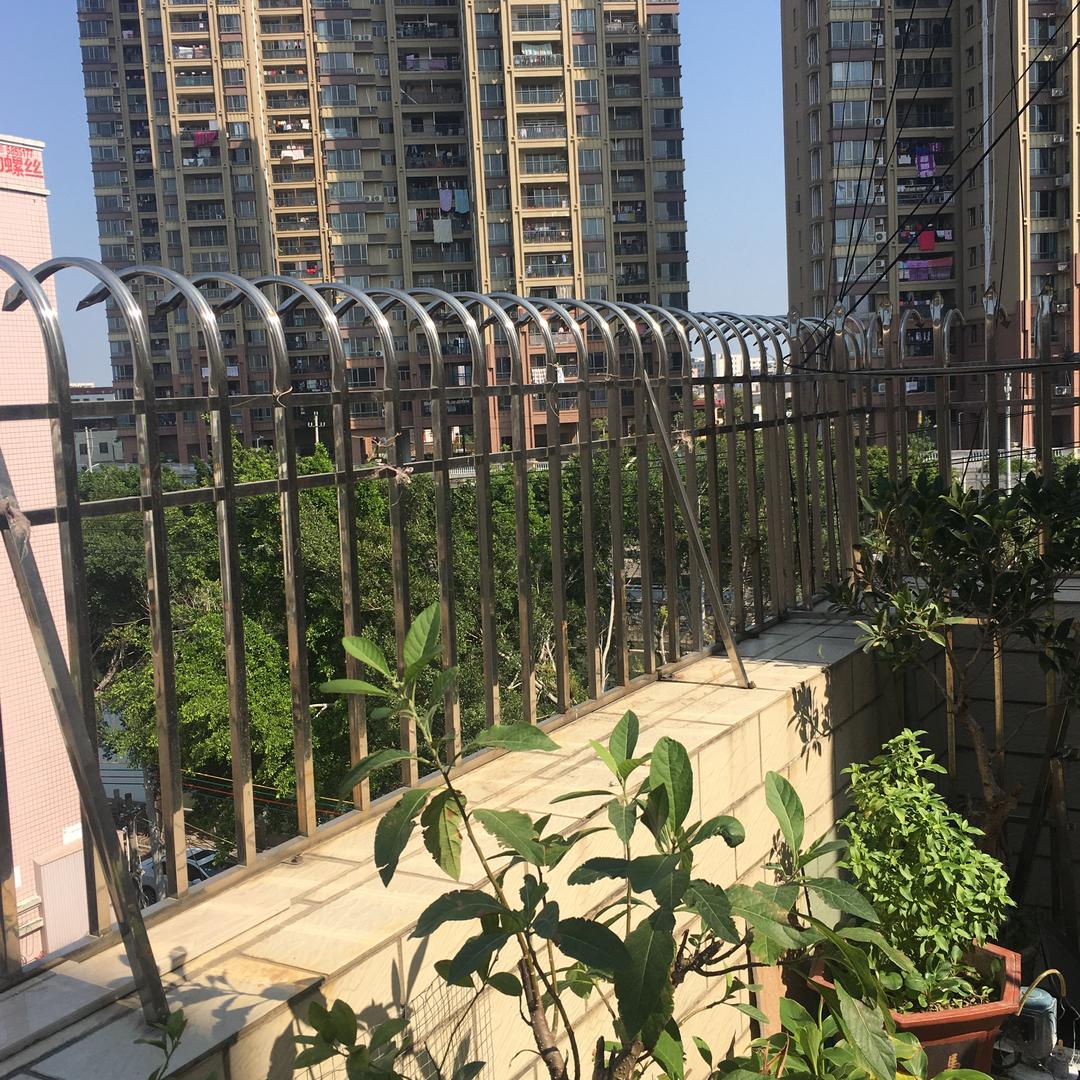 巴克水晶