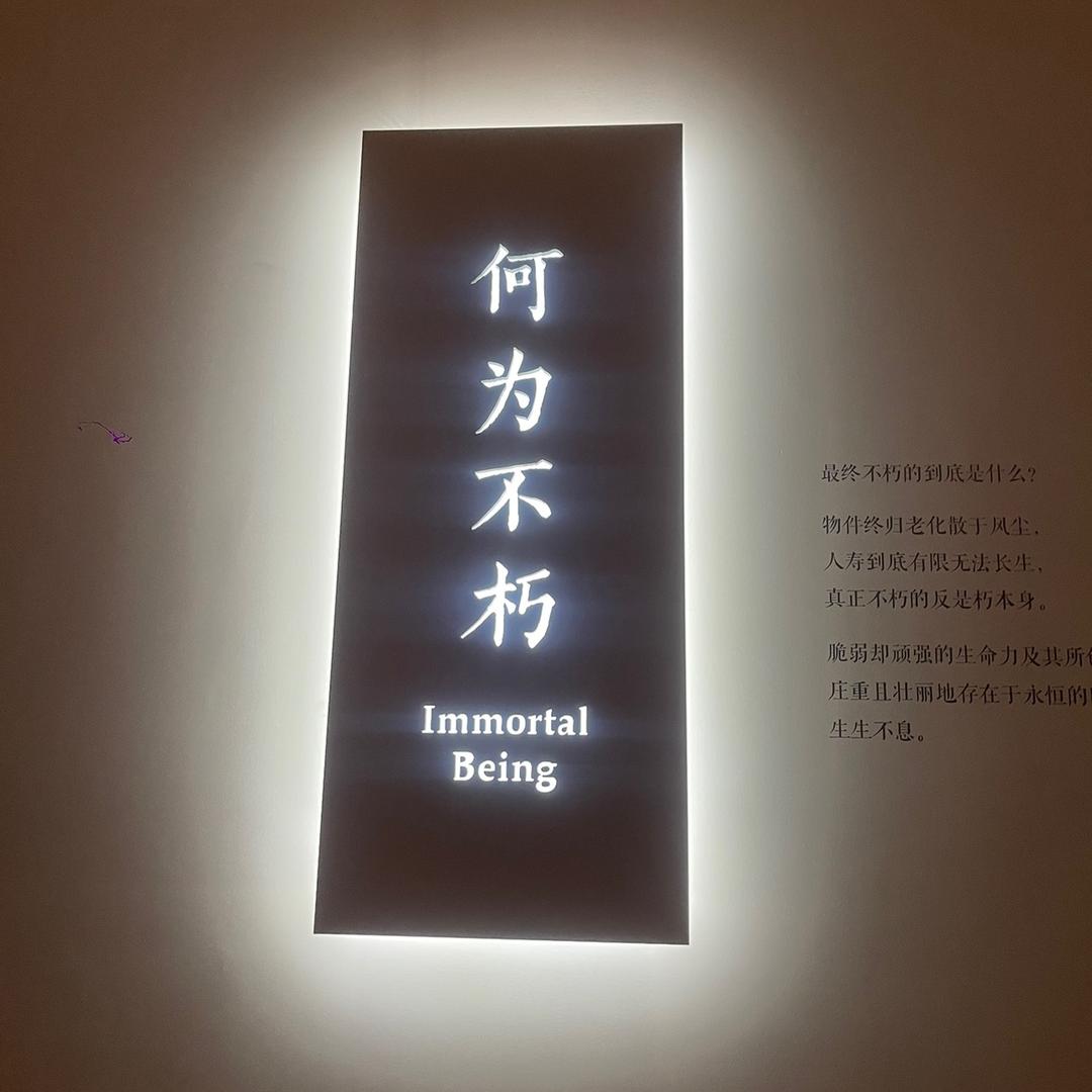 挥霍人生