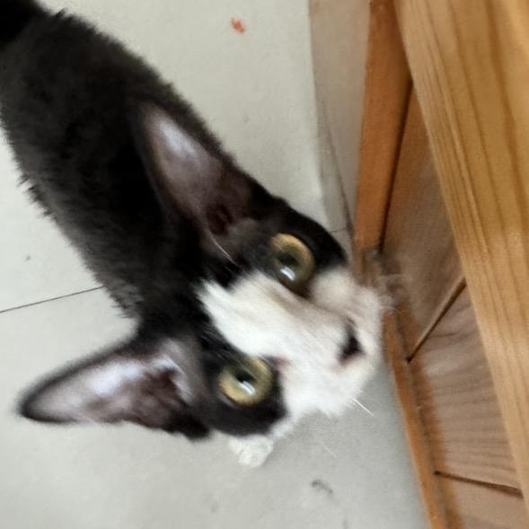 躺在我的宫殿当中