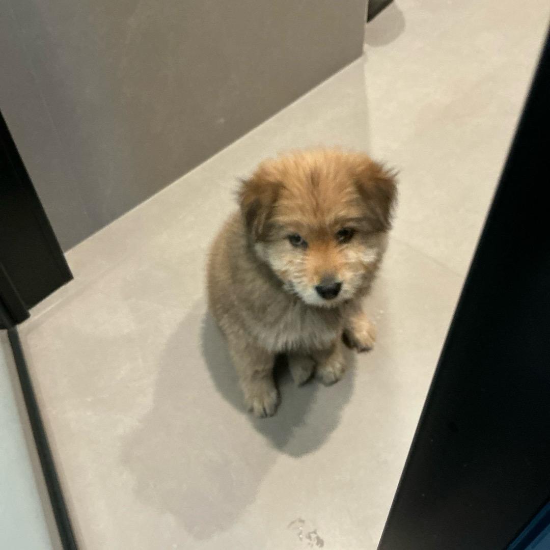 幸运爆棚无敌发财💰