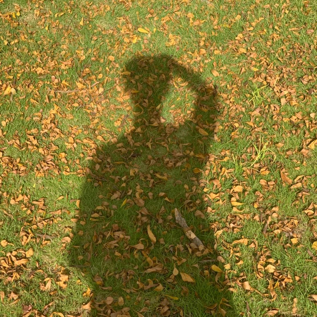 小兜~~