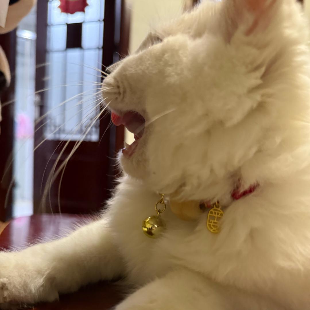 打工人租房指南