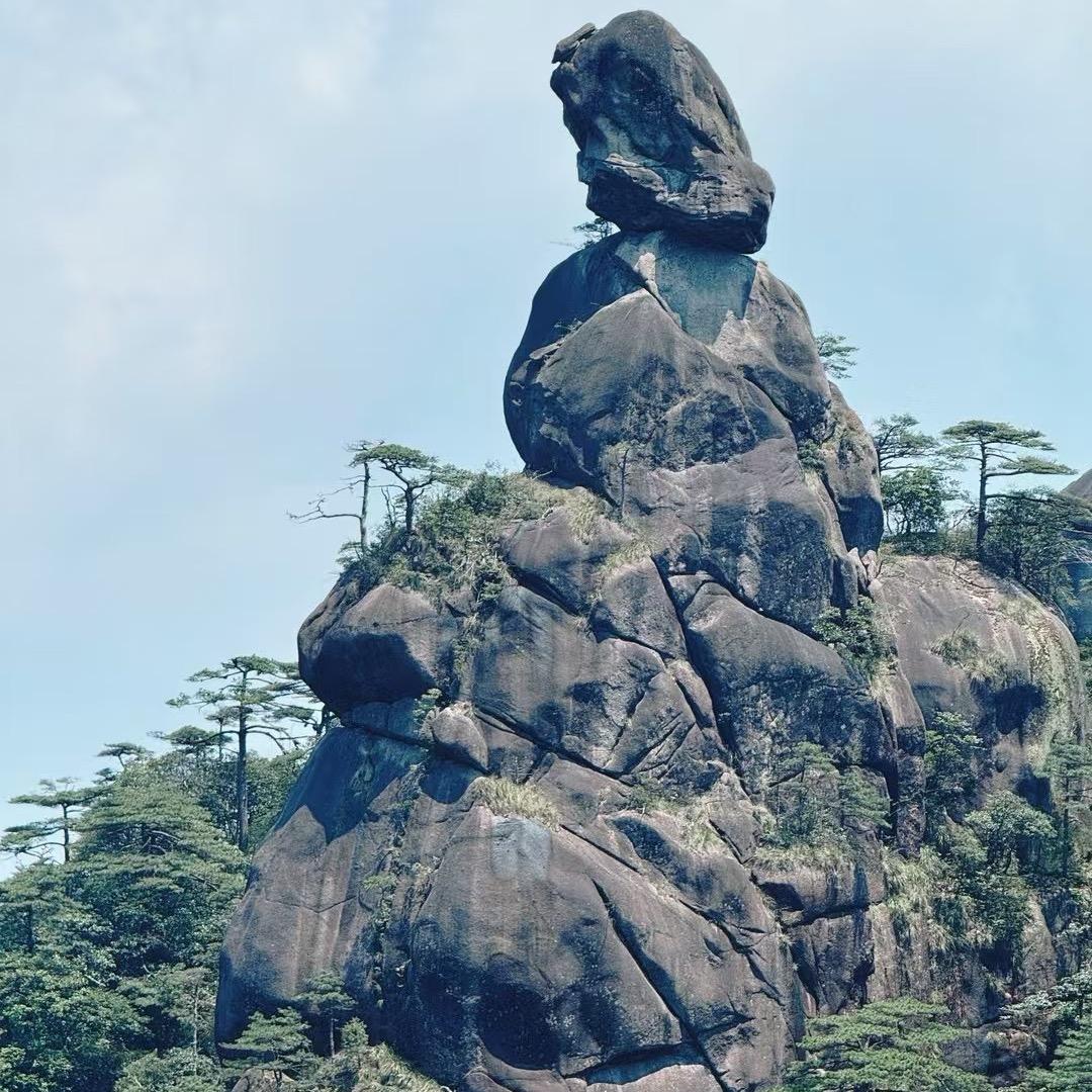 鑫淼羽棱