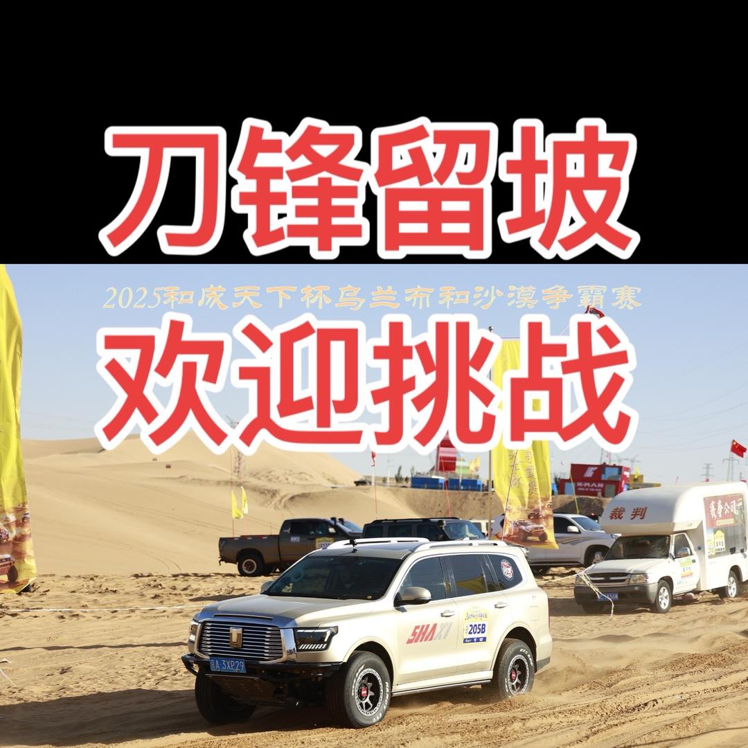 刀锋留坡（沙漠租车 沙漠伴游）
