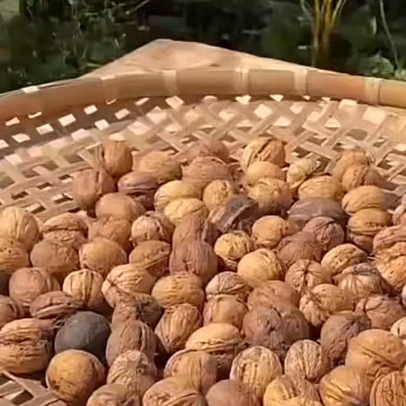 飞哥