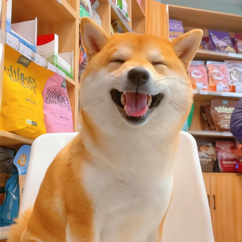 犇犇