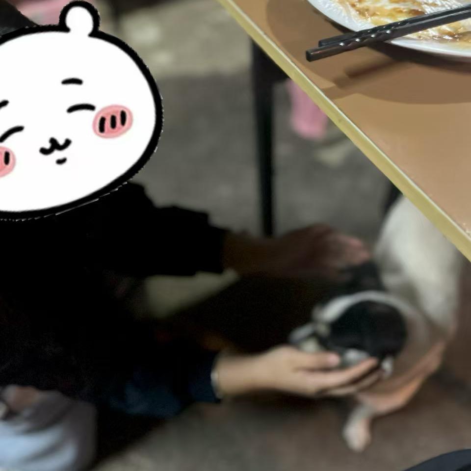 修补我的大门牙