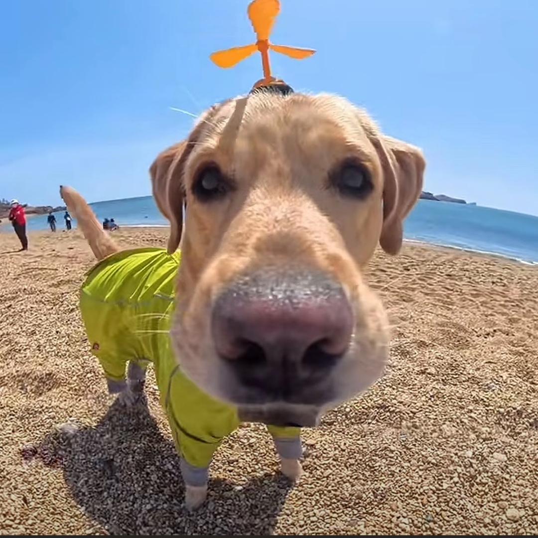 ـ٨ـﮩﮩ٨ـ💔 ﮩ٨ـﮩﮩ٨