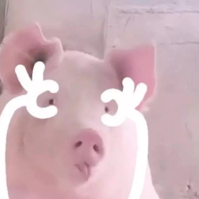 粉色裤衩子的kitty