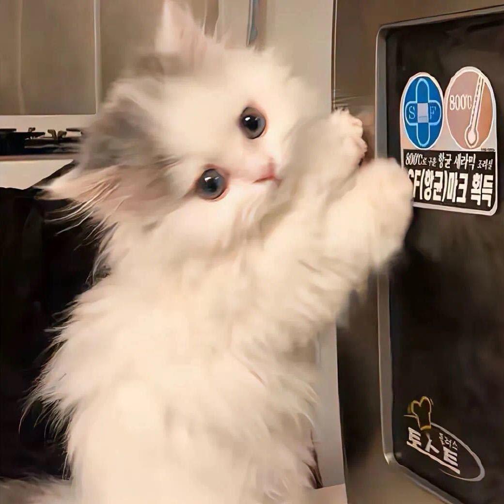小烊.