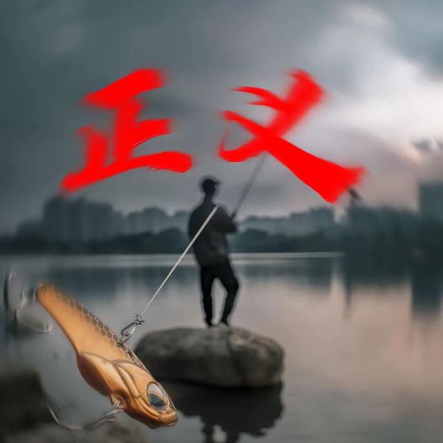 上鱼飞起来