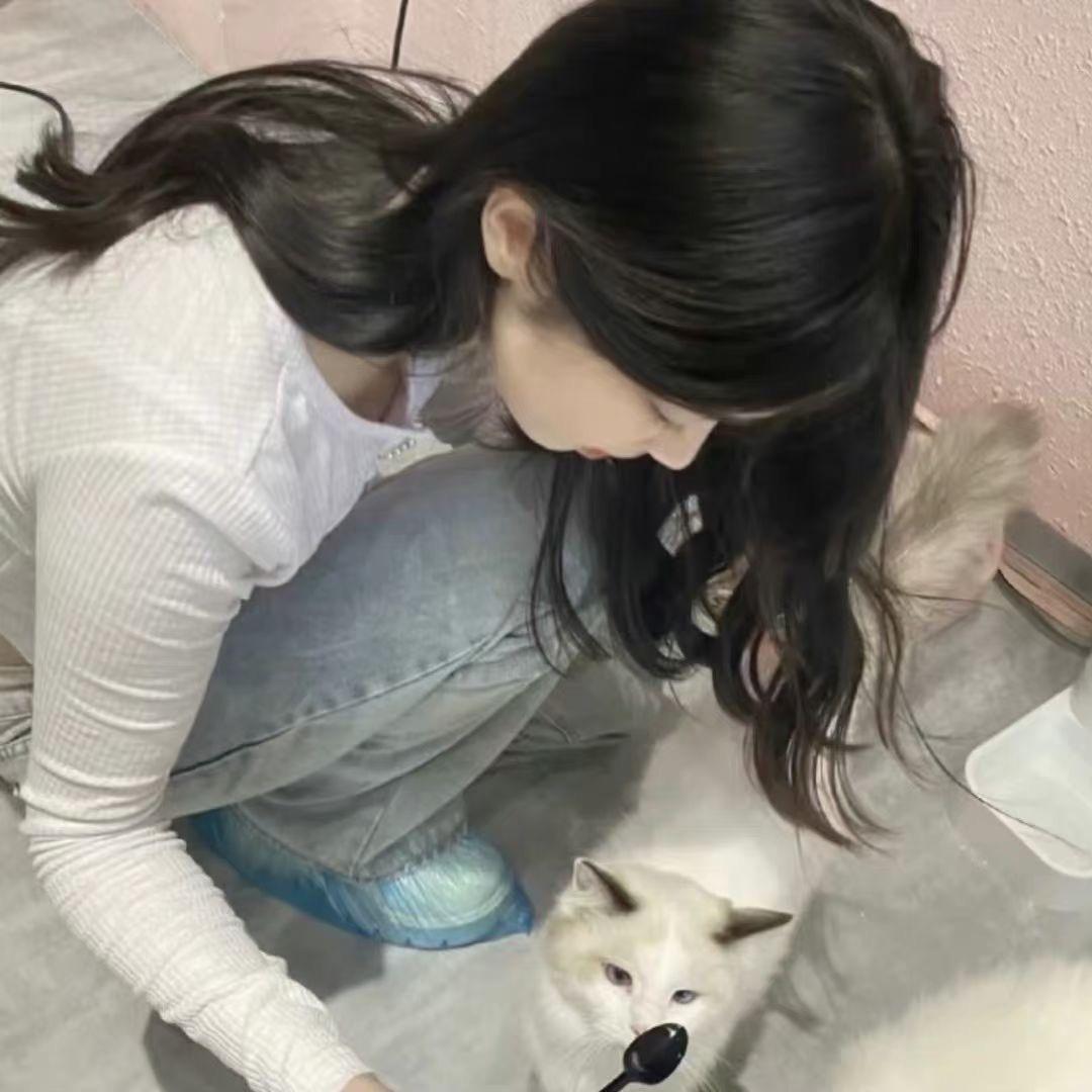 不吃香菜的滚蛋
