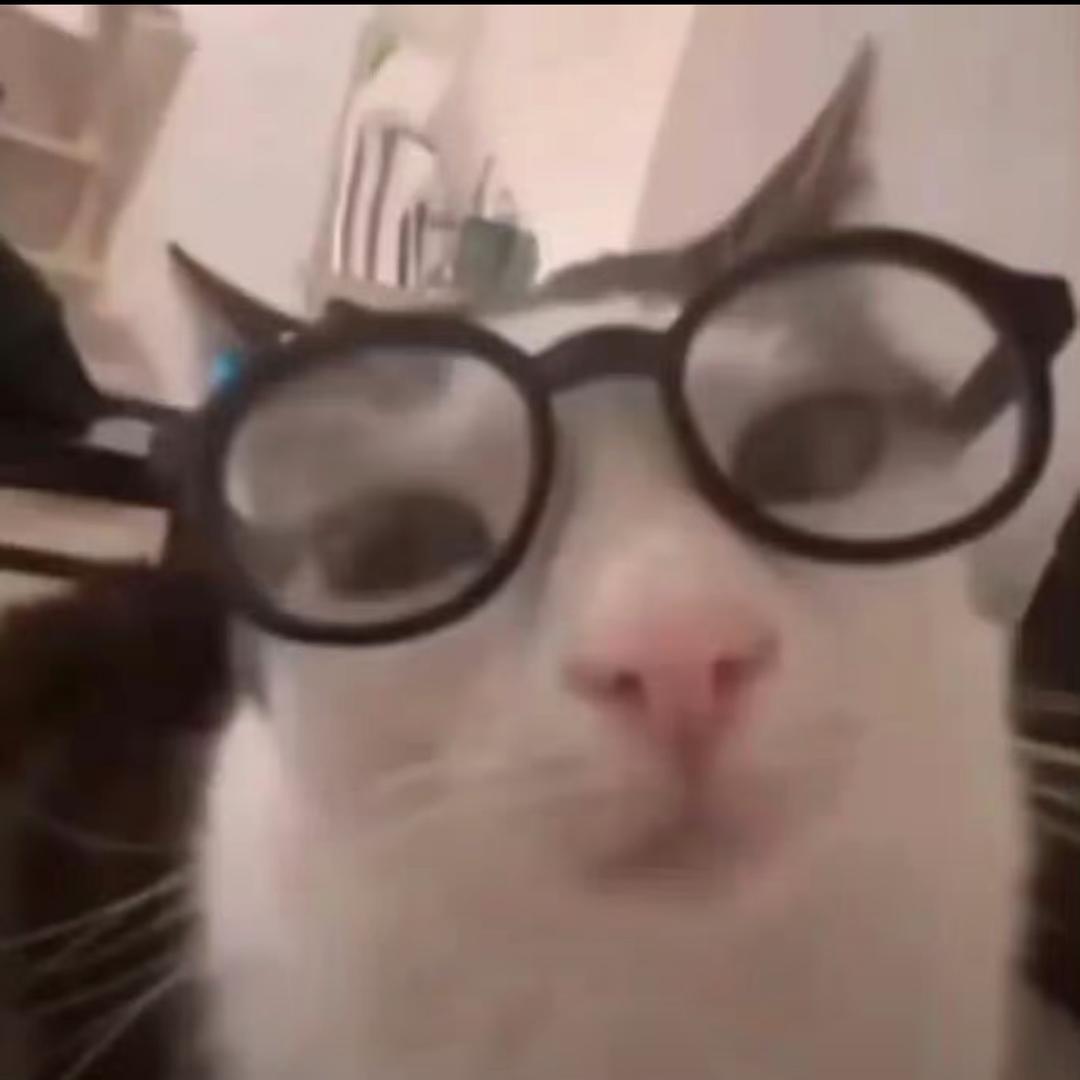 沐楠🐾𐌔𐌕𐌉𐌕𐌂𐌇𐌄𐌔