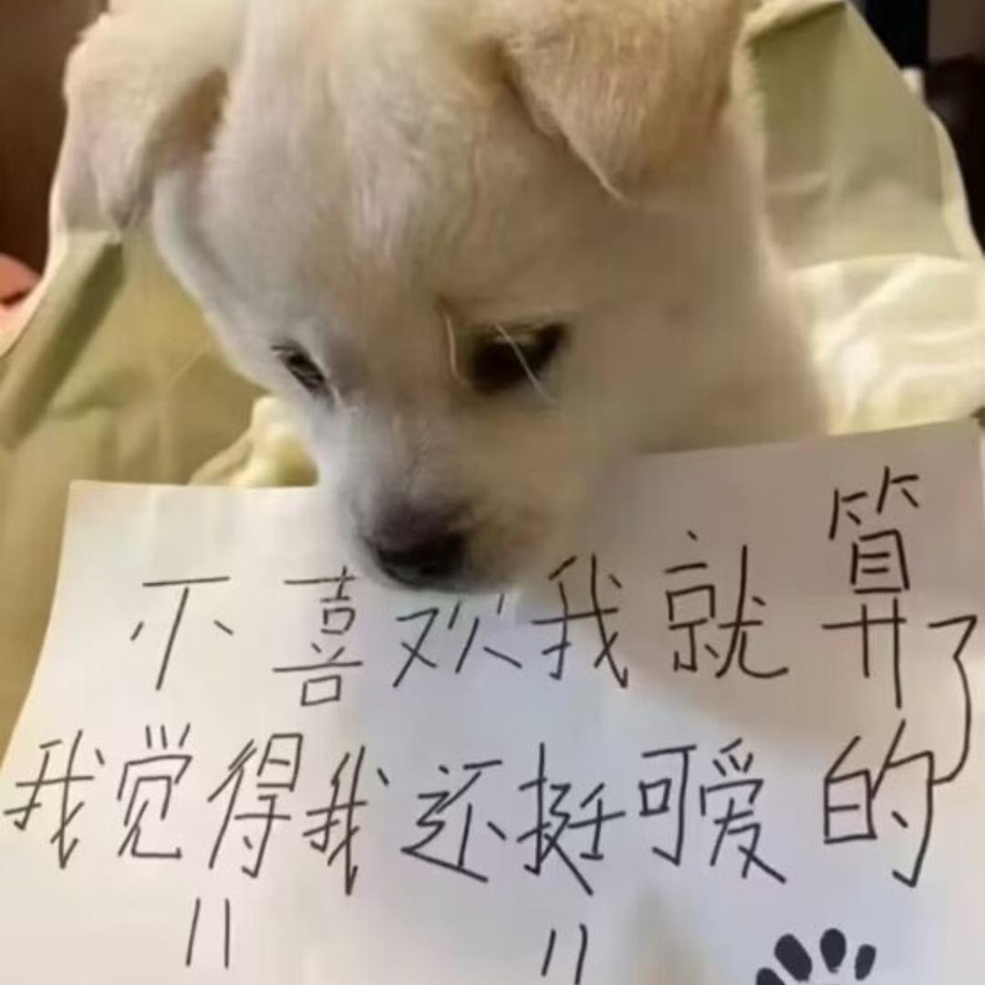 听听