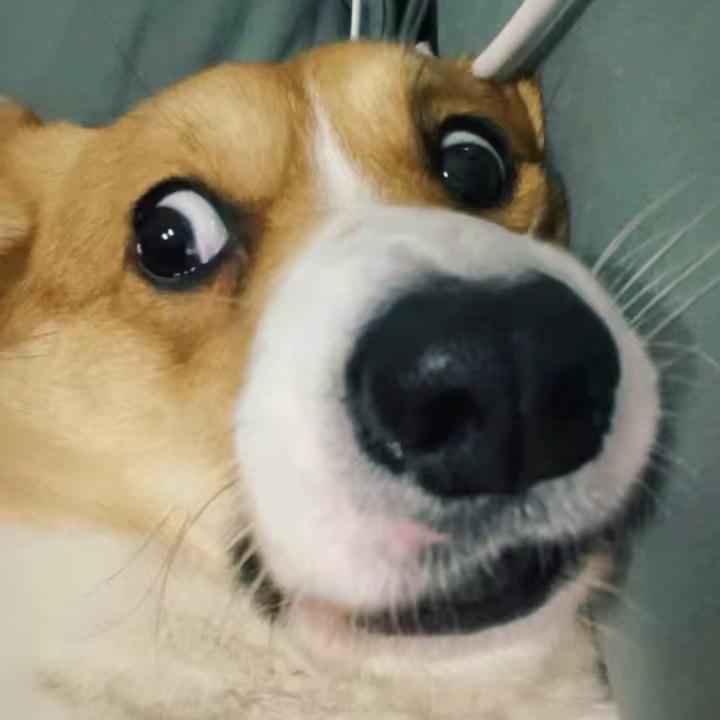 可修复