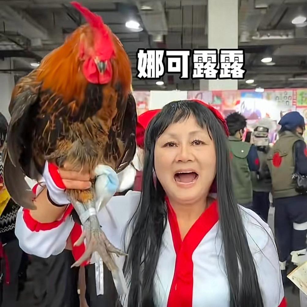 小志搞搞震