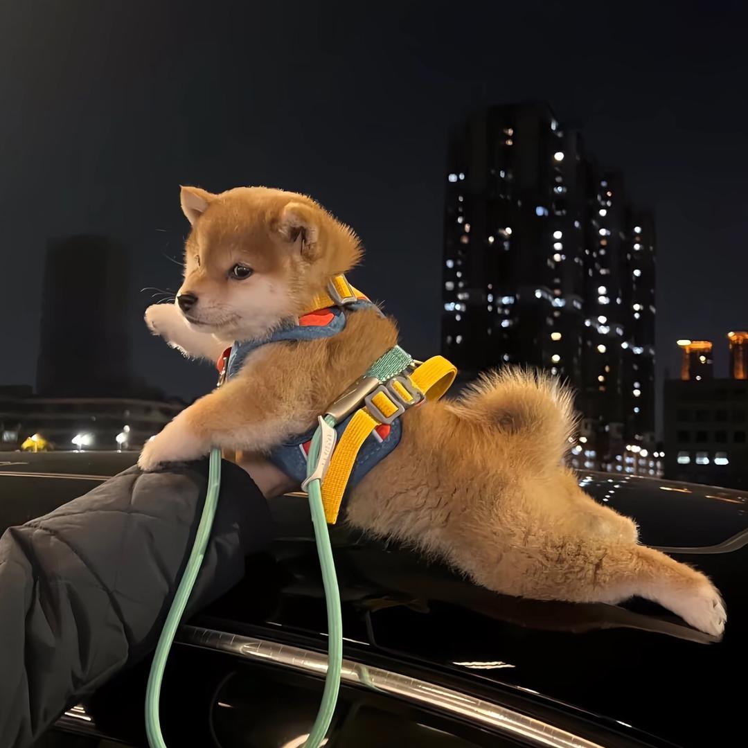 零点出发