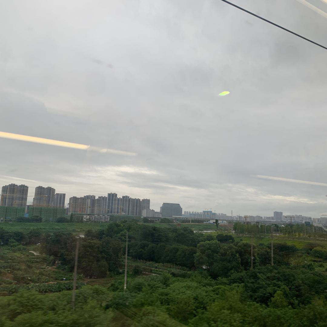 书虫