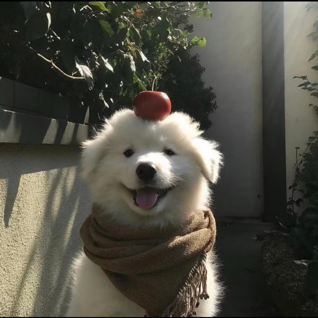 瑞星芝麻油