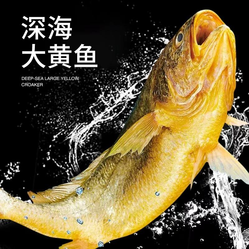 六条鱼水产店