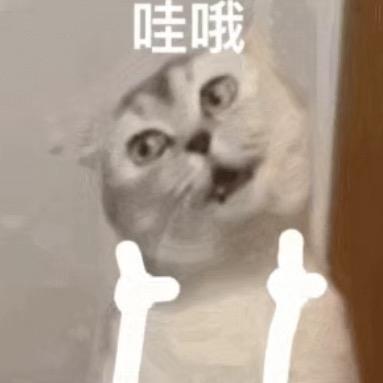 浩浩