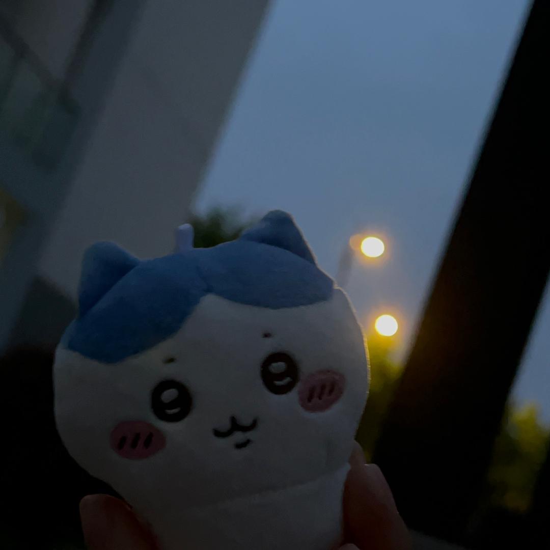 桃子