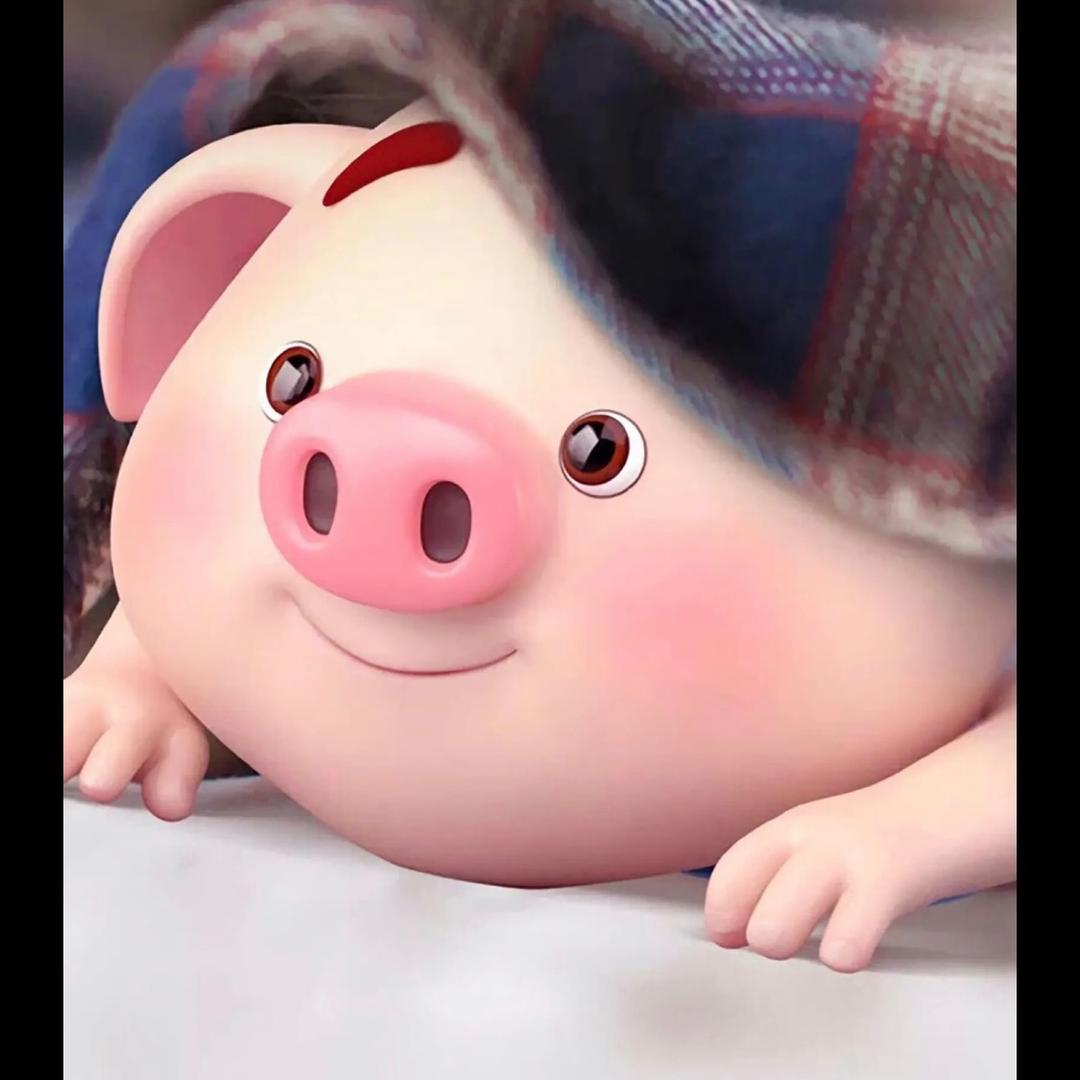 猪租找房（求租清水房或闲置大型物业）