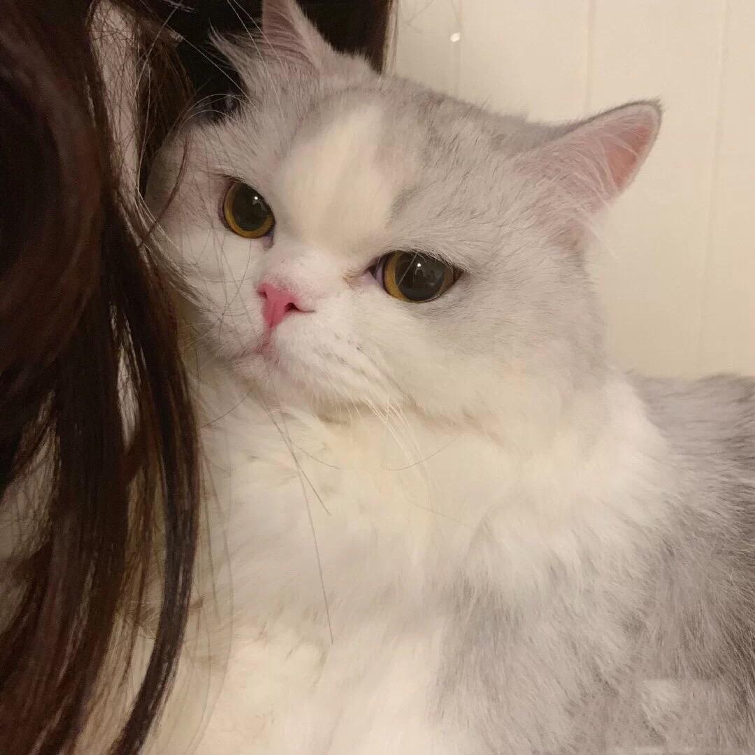 宝贝.