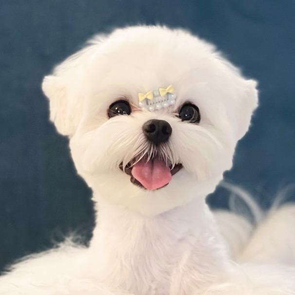 奶fufu的小romig吖