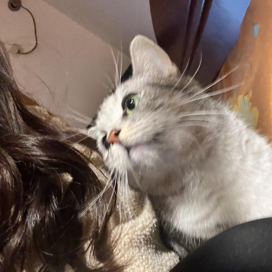 躲在云朵里做梦