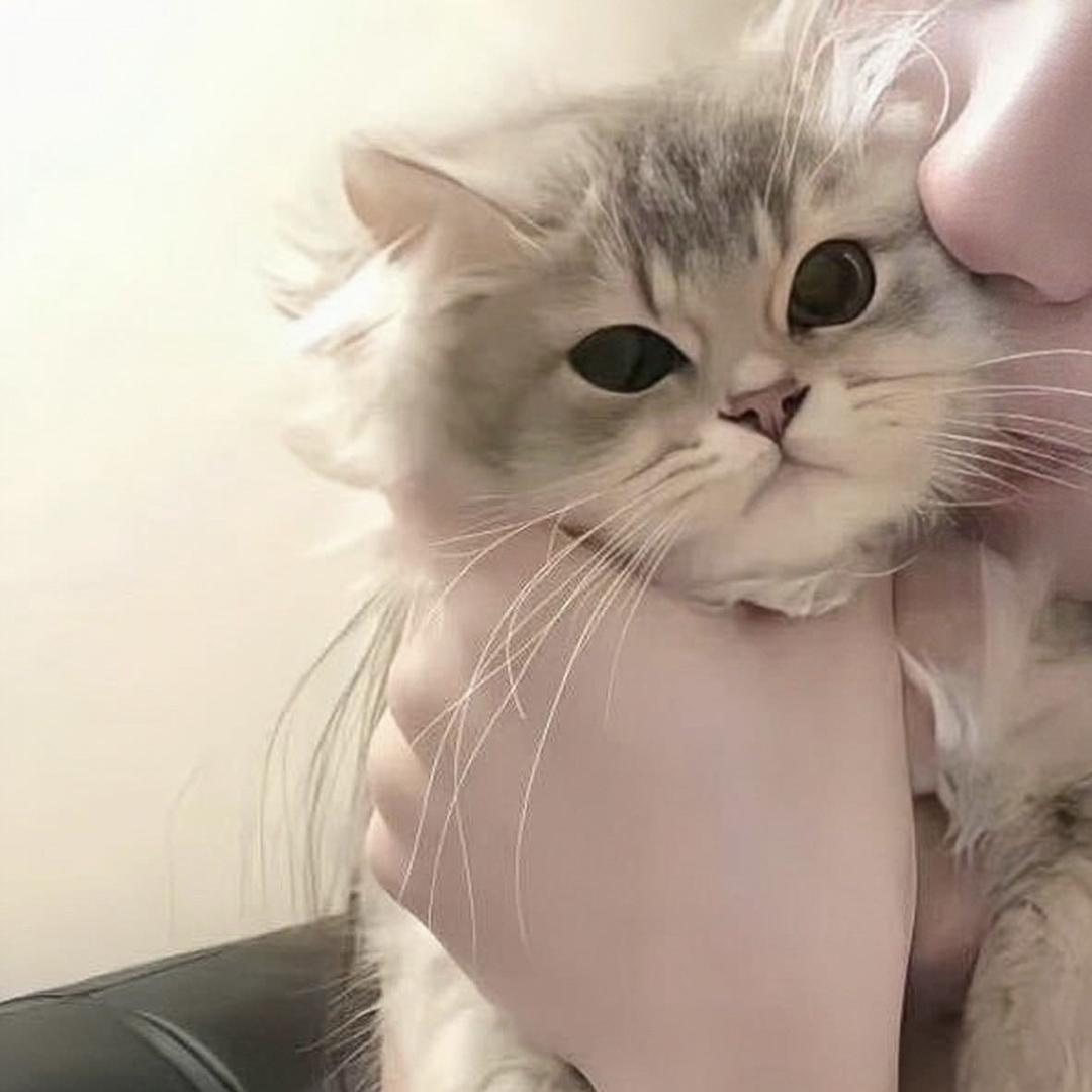 咔卡